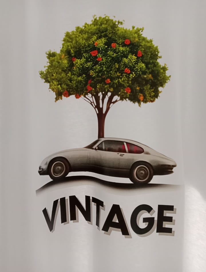 Camiseta Vintage 1965