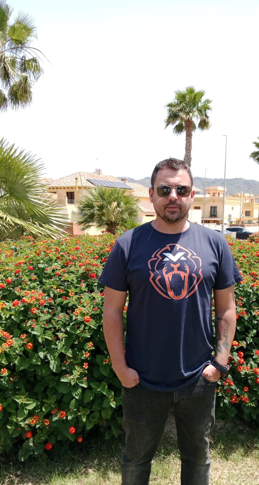 Camiseta F1 Max Verstappen