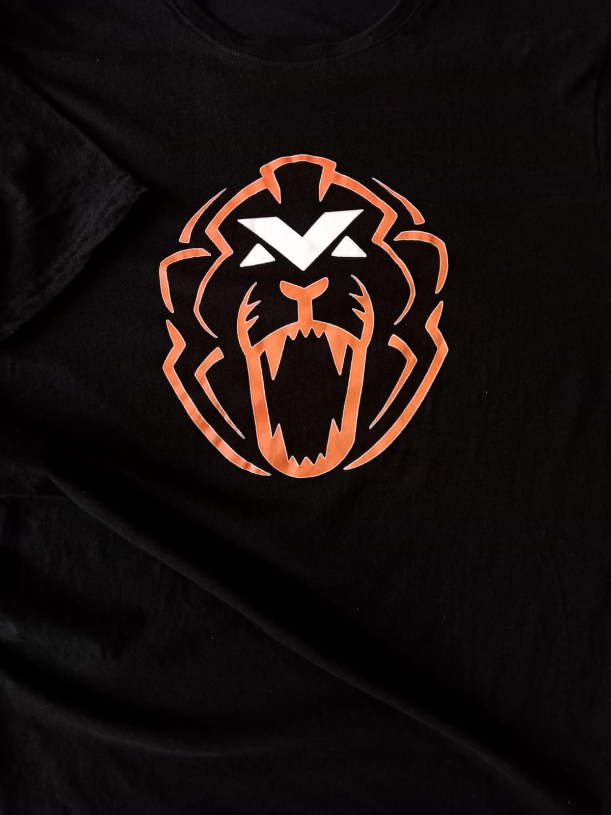Camiseta F1 Max Verstappen